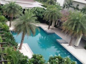 SWIMMING POOL & WATER FEATURES