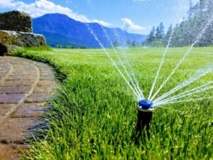 Irrigation System Pic